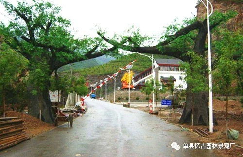 阜陽生態園大門制作價格解析 假山藝術與成本考量